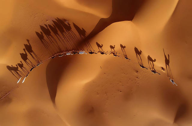 The Winners Of 2018 Siena International Photo Awards Have More Than Deserved Their Prize