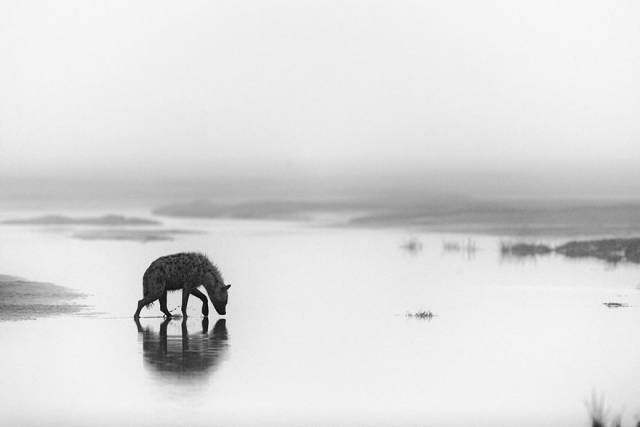 The Winners Of 2018 Siena International Photo Awards Have More Than Deserved Their Prize