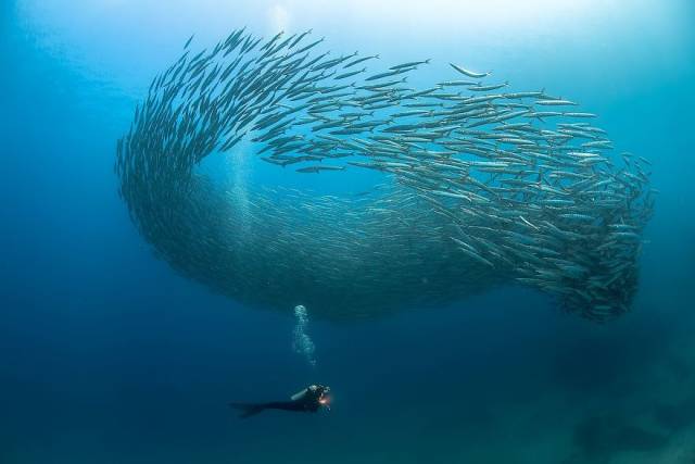 The Winners Of 2018 Siena International Photo Awards Have More Than Deserved Their Prize