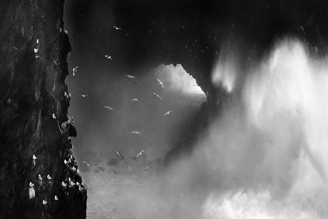 The Winners Of 2018 Siena International Photo Awards Have More Than Deserved Their Prize