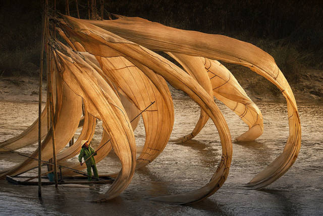 The Winners Of 2018 Siena International Photo Awards Have More Than Deserved Their Prize