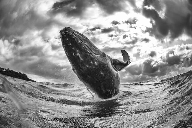The Winners Of 2018 Siena International Photo Awards Have More Than Deserved Their Prize