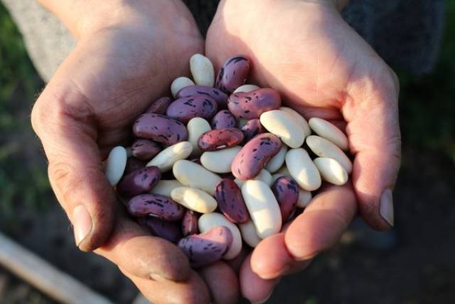 What Foods Could Stay In Your Bunker For A Long Time