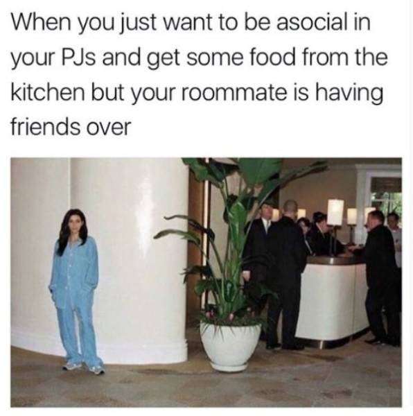 Roommates Are Actually Walking Memes