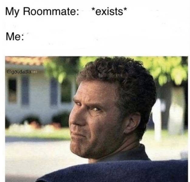 Roommates Are Actually Walking Memes