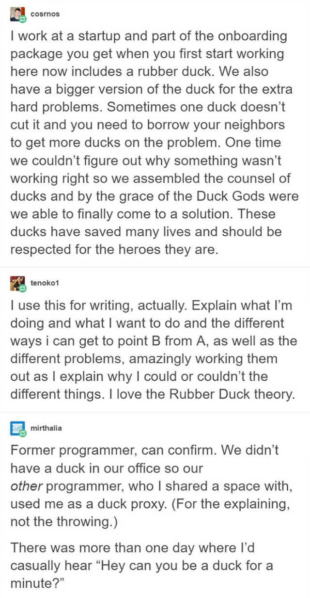 So This Is Why Programmers Use Rubber Ducks!