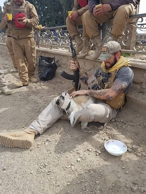 Soldier Saves A Puppy During Operation And It Turns To Be The Most Important Event Of His Life