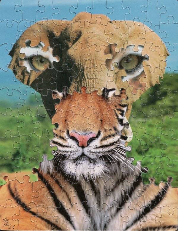 Artist Uses Puzzles With Same Cut Patterns To Create Surreal Images