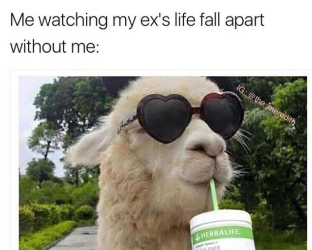 Memes For Those Who Worship The Cult Of Hating Your Ex