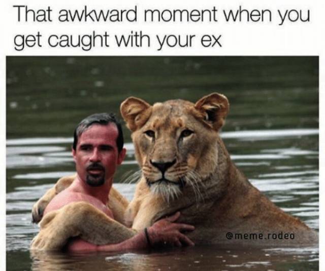Memes For Those Who Worship The Cult Of Hating Your Ex