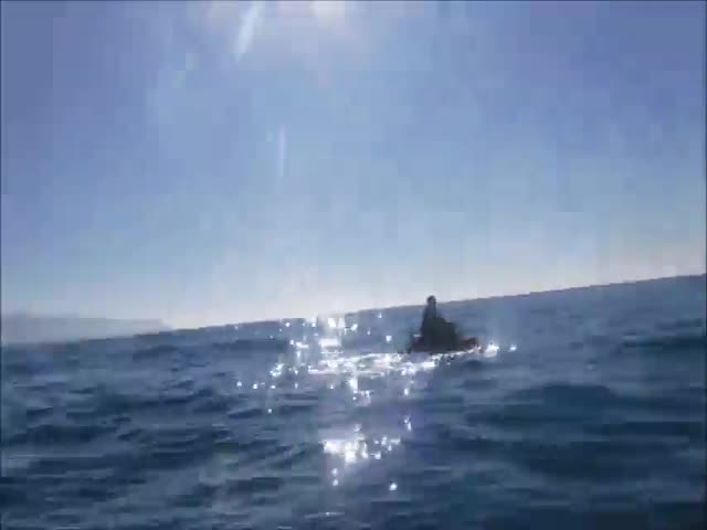 Kayaker Has Close Encounter With Massive Great White Shark