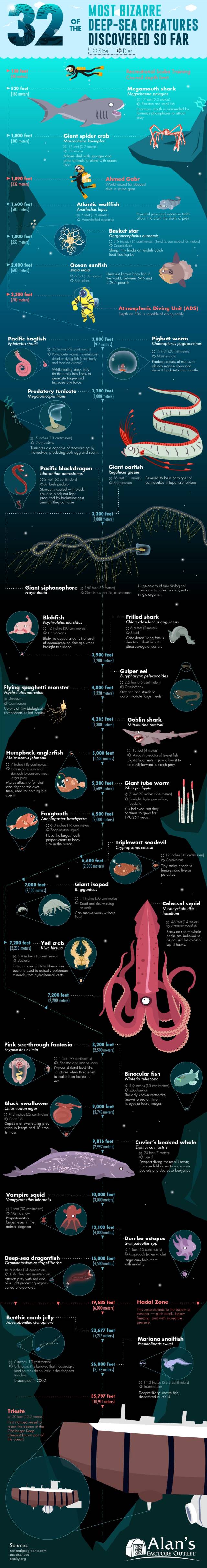 What Hides In Oceanic Depths