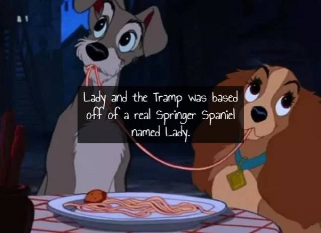 Fairytale Facts About Classic Disney Films