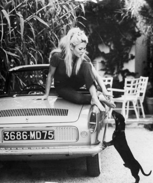 This Is Why Brigitte Bardot Was A Sex Symbol