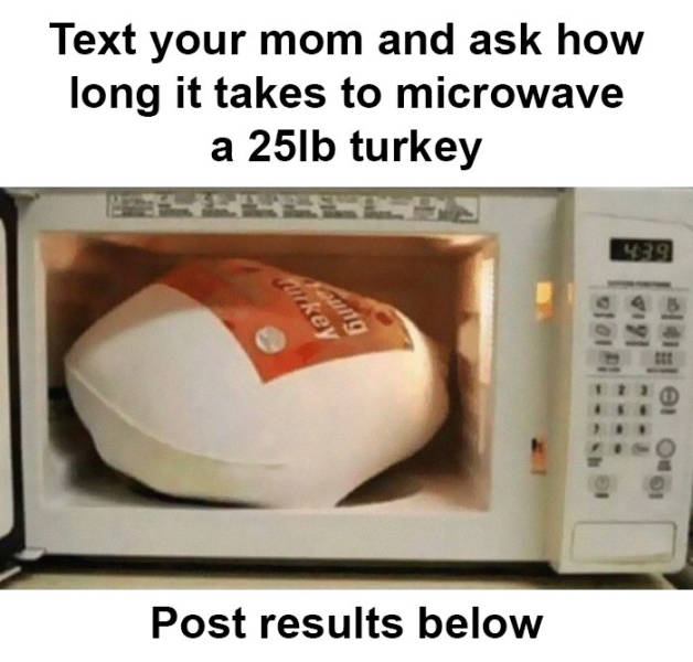 Ask Your Parents How To Cook A Turkey In A Microwave