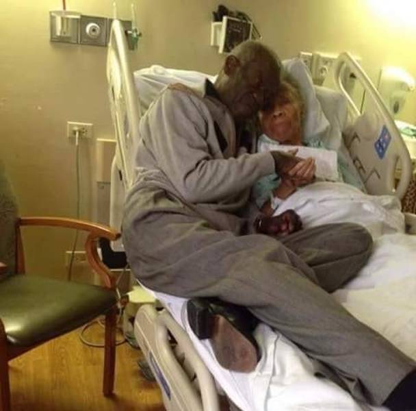 Heartwarming Pictures That That Go Straight to Your Heart