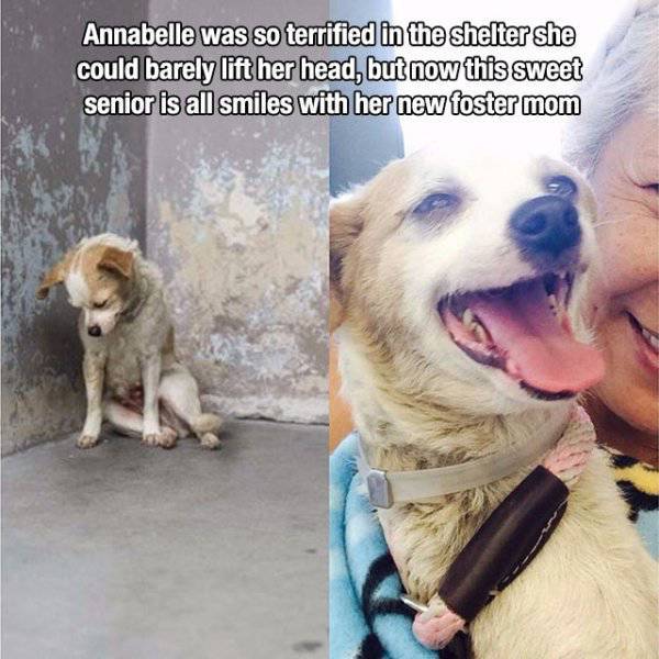 Heartwarming Pictures That That Go Straight to Your Heart
