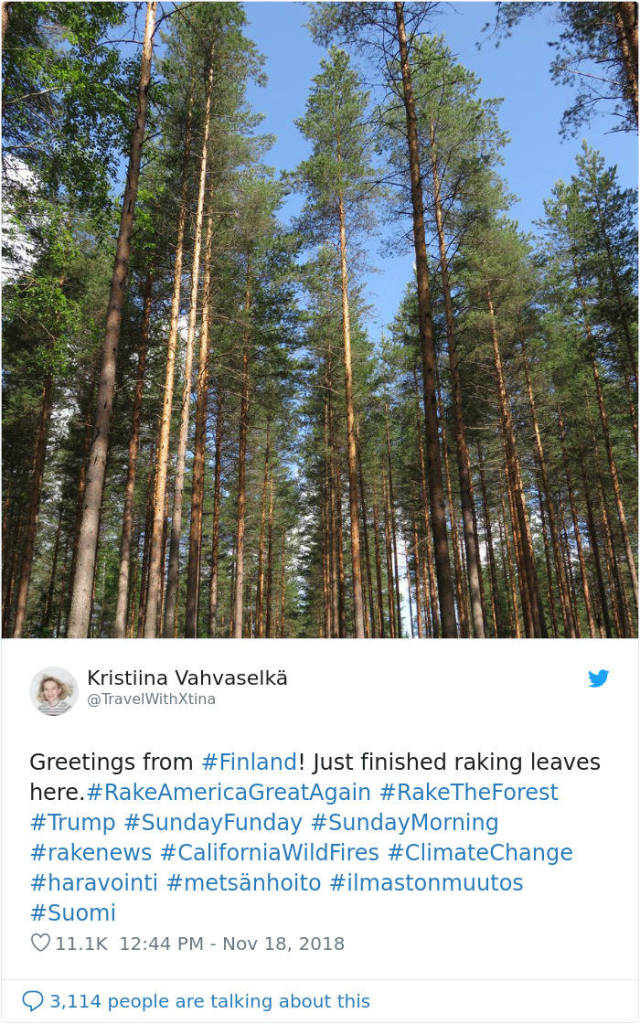 Trump Said That Finns Rake Their Forest To Prevent Fires, And Here’s How Finns Responded
