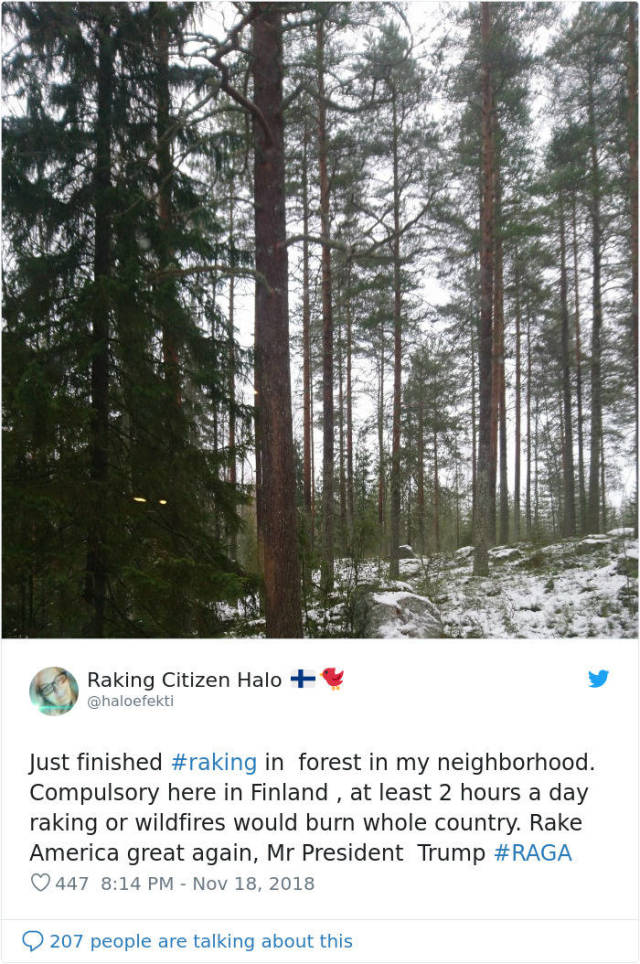 Trump Said That Finns Rake Their Forest To Prevent Fires, And Here’s How Finns Responded