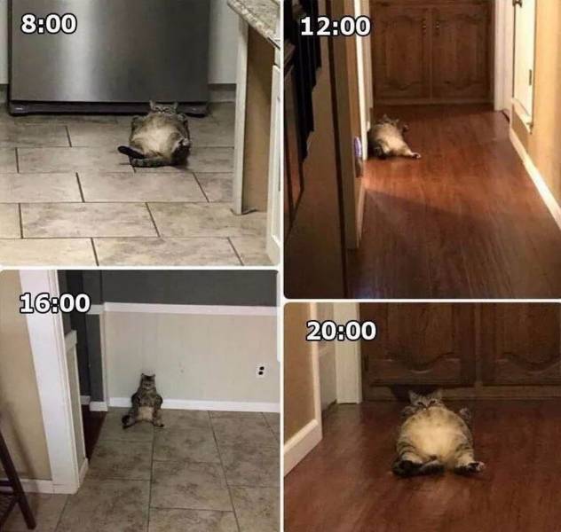 Morning Picdump