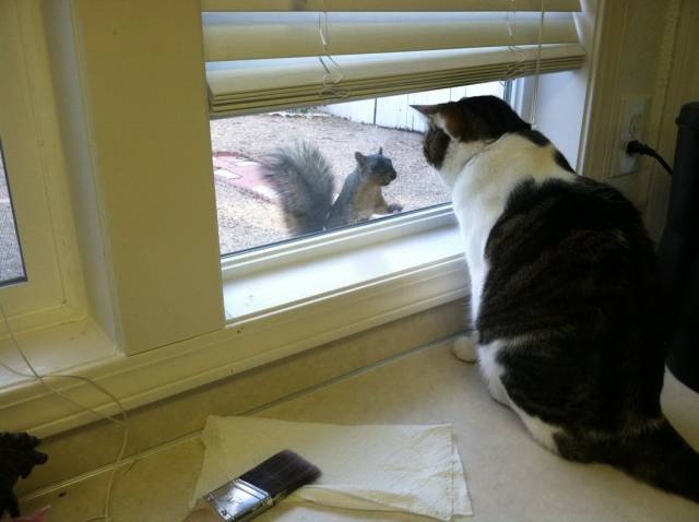 Morning Picdump