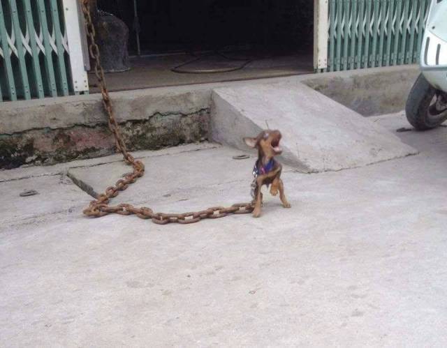 Morning Picdump