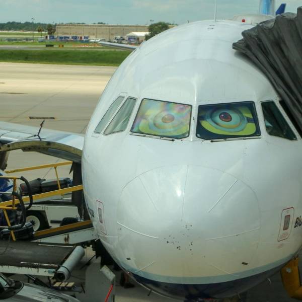 Morning Picdump