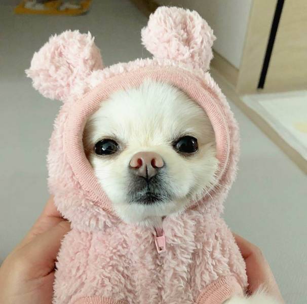 Morning Picdump