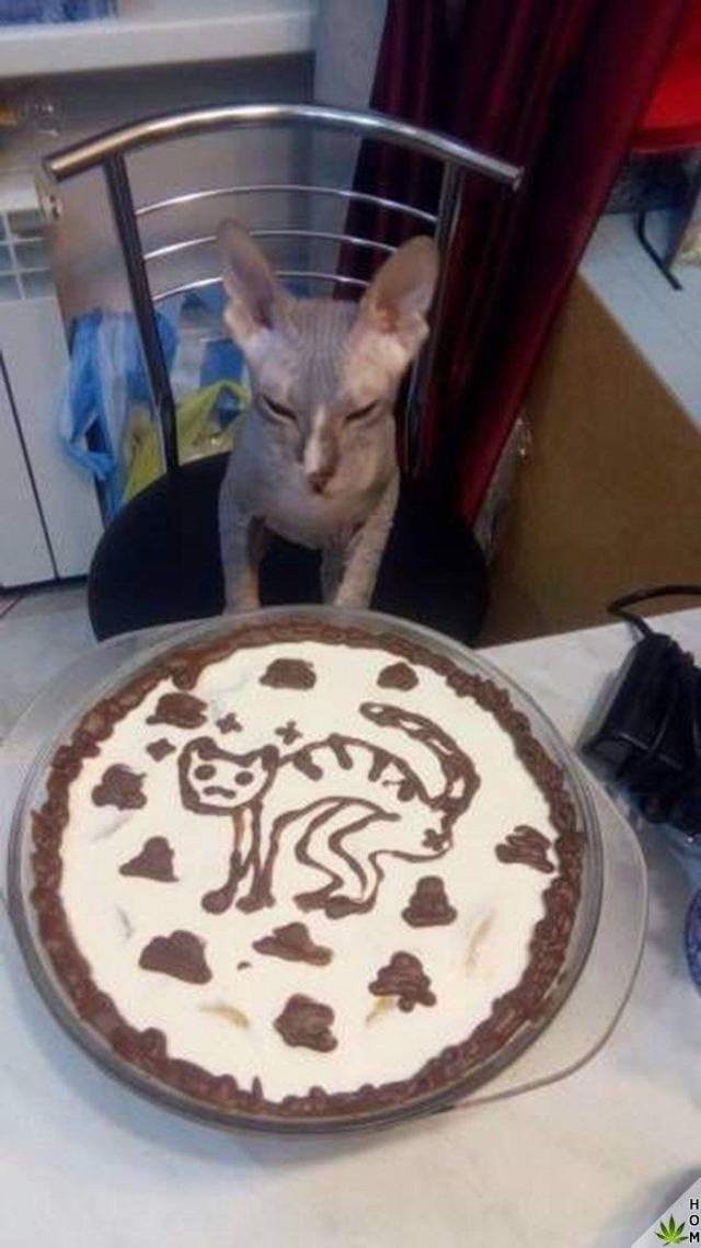Morning Picdump