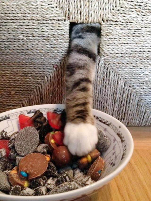 Morning Picdump