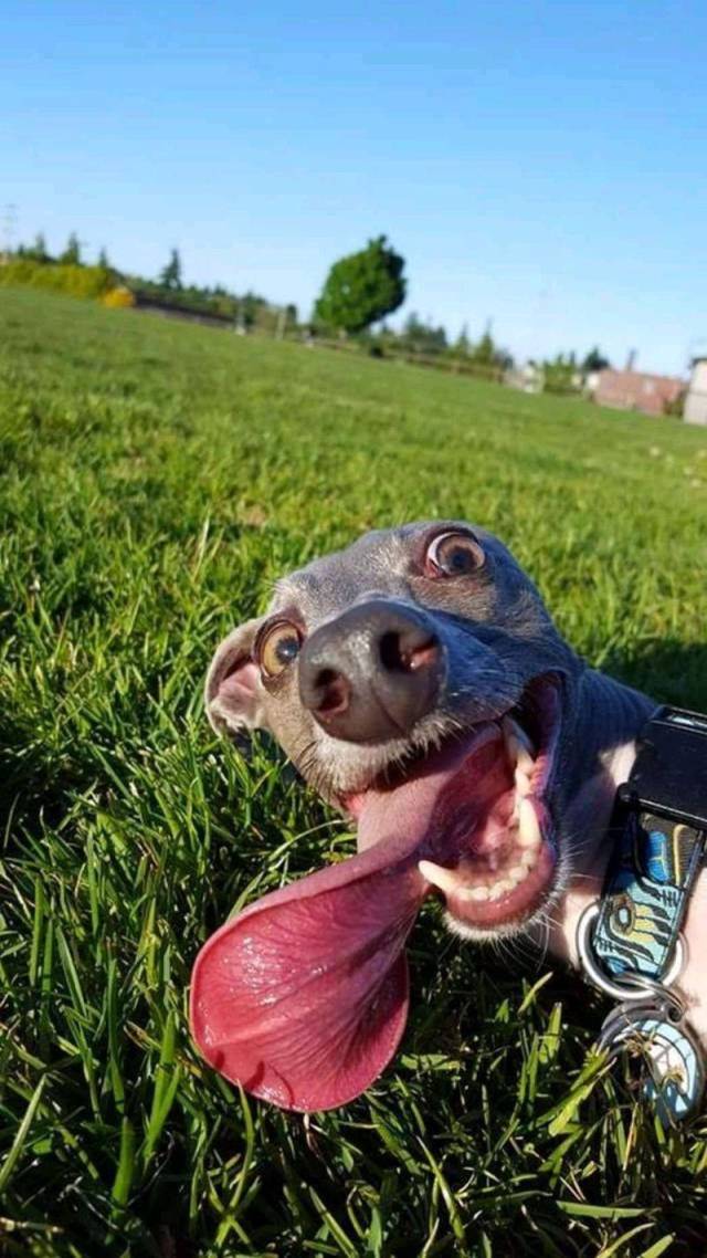 Morning Picdump