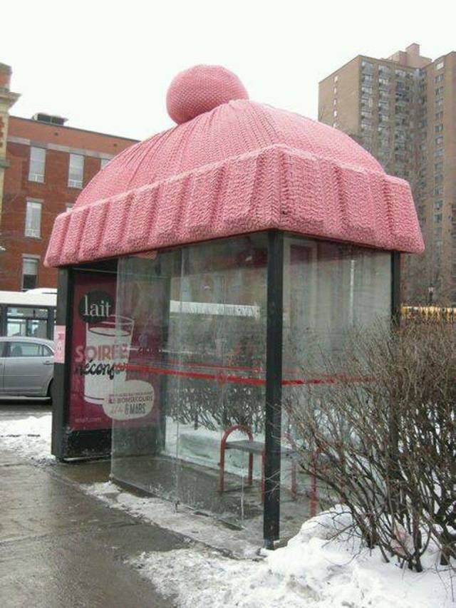 Morning Picdump