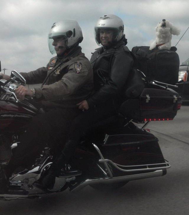Morning Picdump