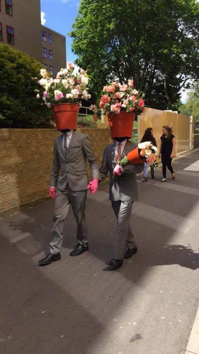 Morning Picdump