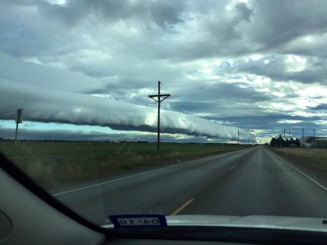 Daily Picdump [WEEKEND EDITION]