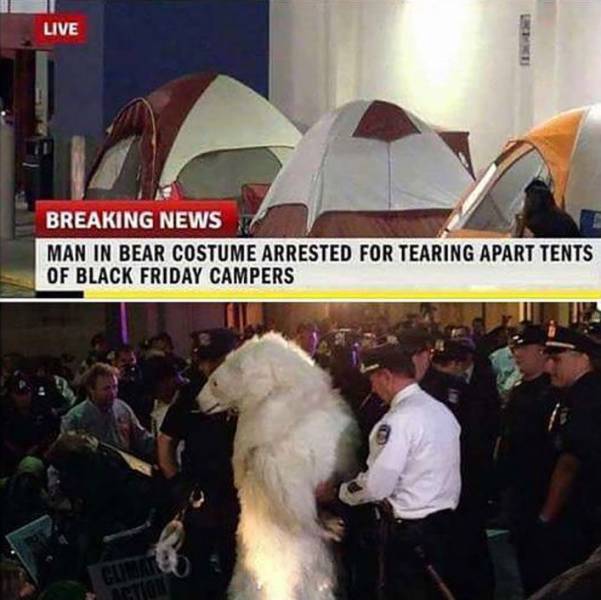 Daily Picdump [WEEKEND EDITION]