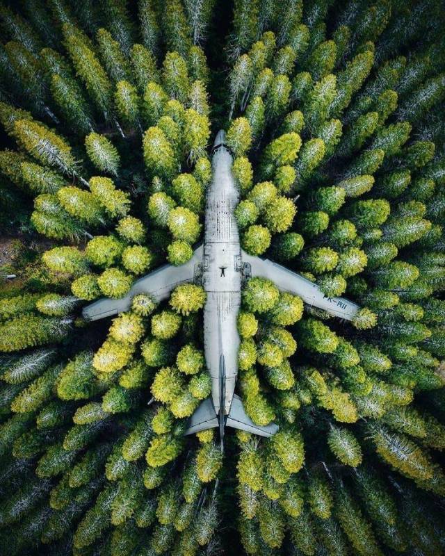 Daily Picdump [WEEKEND EDITION]