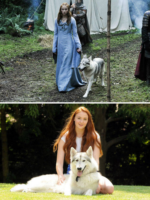Brace Yourselves, “Game Of Thrones” Facts Are Coming