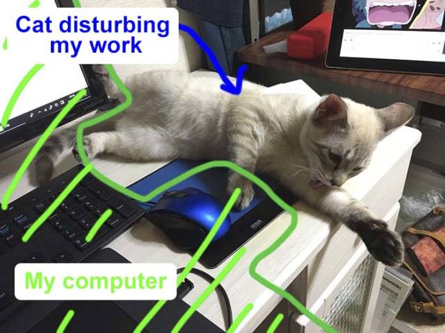 Desperate Humans Try To Protect Their Keyboards From Cats