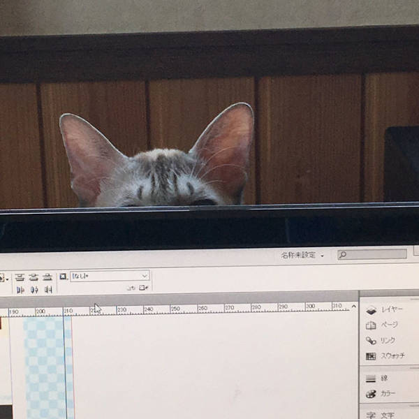 Desperate Humans Try To Protect Their Keyboards From Cats