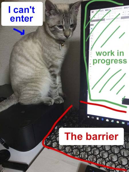 Desperate Humans Try To Protect Their Keyboards From Cats