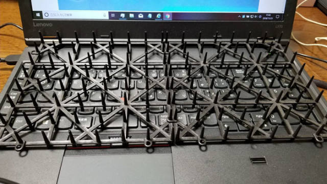 Desperate Humans Try To Protect Their Keyboards From Cats