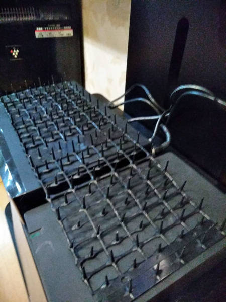Desperate Humans Try To Protect Their Keyboards From Cats
