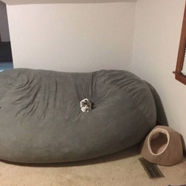 Daily Picdump