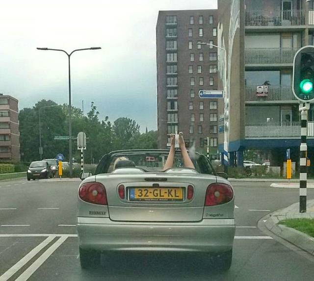 Daily Picdump