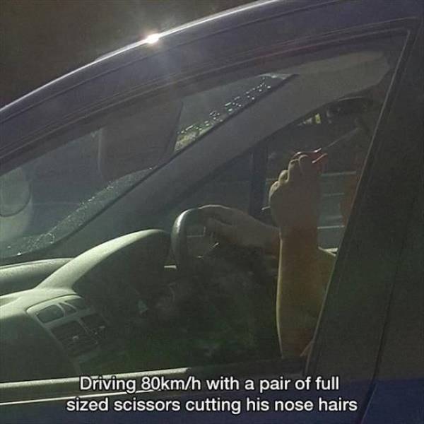 Daily Picdump