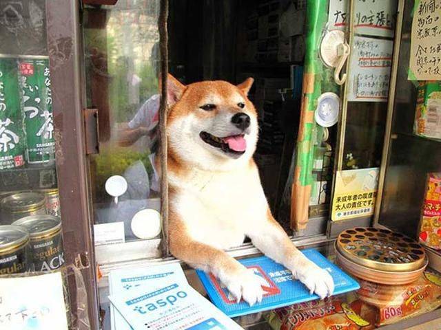 Daily Picdump