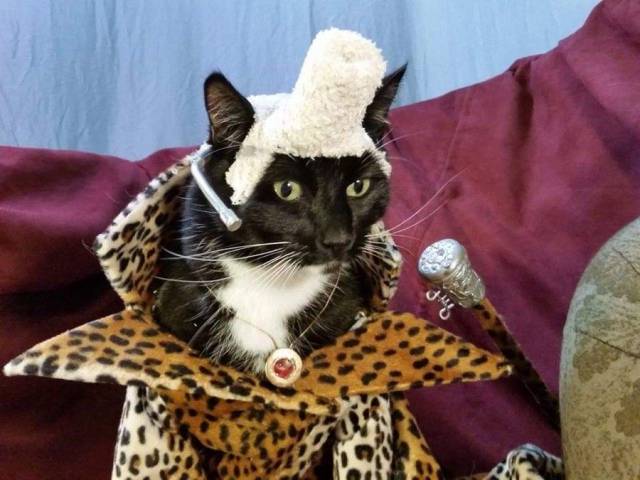 Daily Picdump
