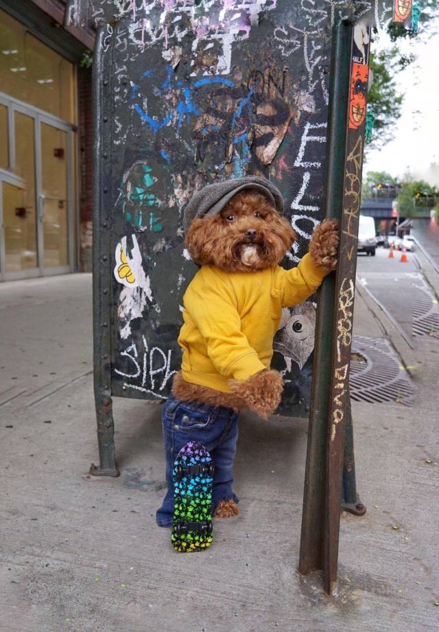 Daily Picdump