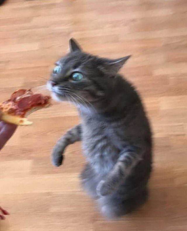 Daily Picdump